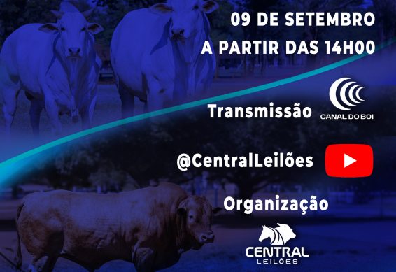 Leilão 2026 - Reprodutores e Matrizes - Nelore e Caracu IZ