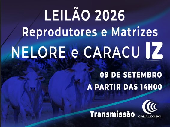 Leilão 2026 - Reprodutores e Matrizes - Nelore e Caracu IZ
