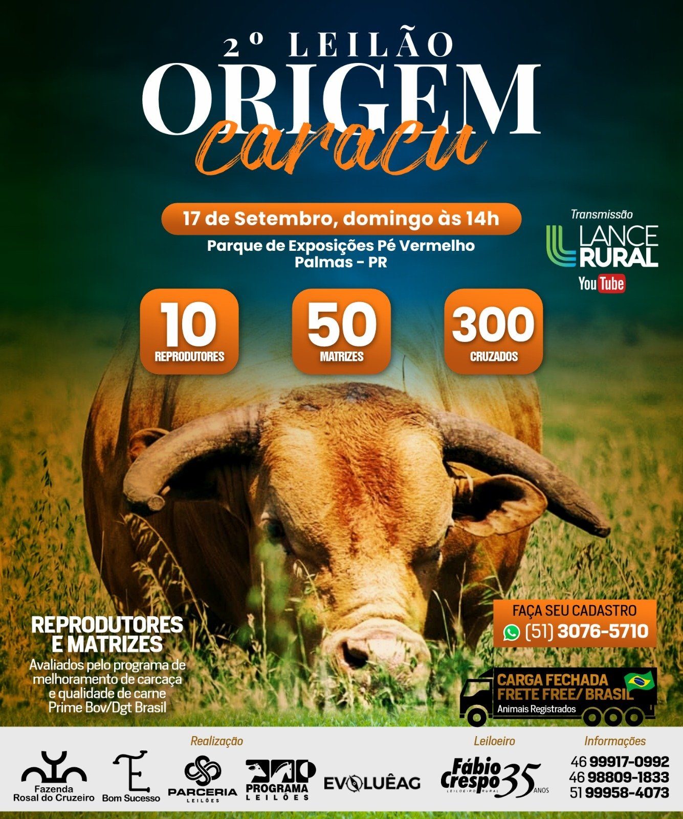 2º Leilão Origem Caracu