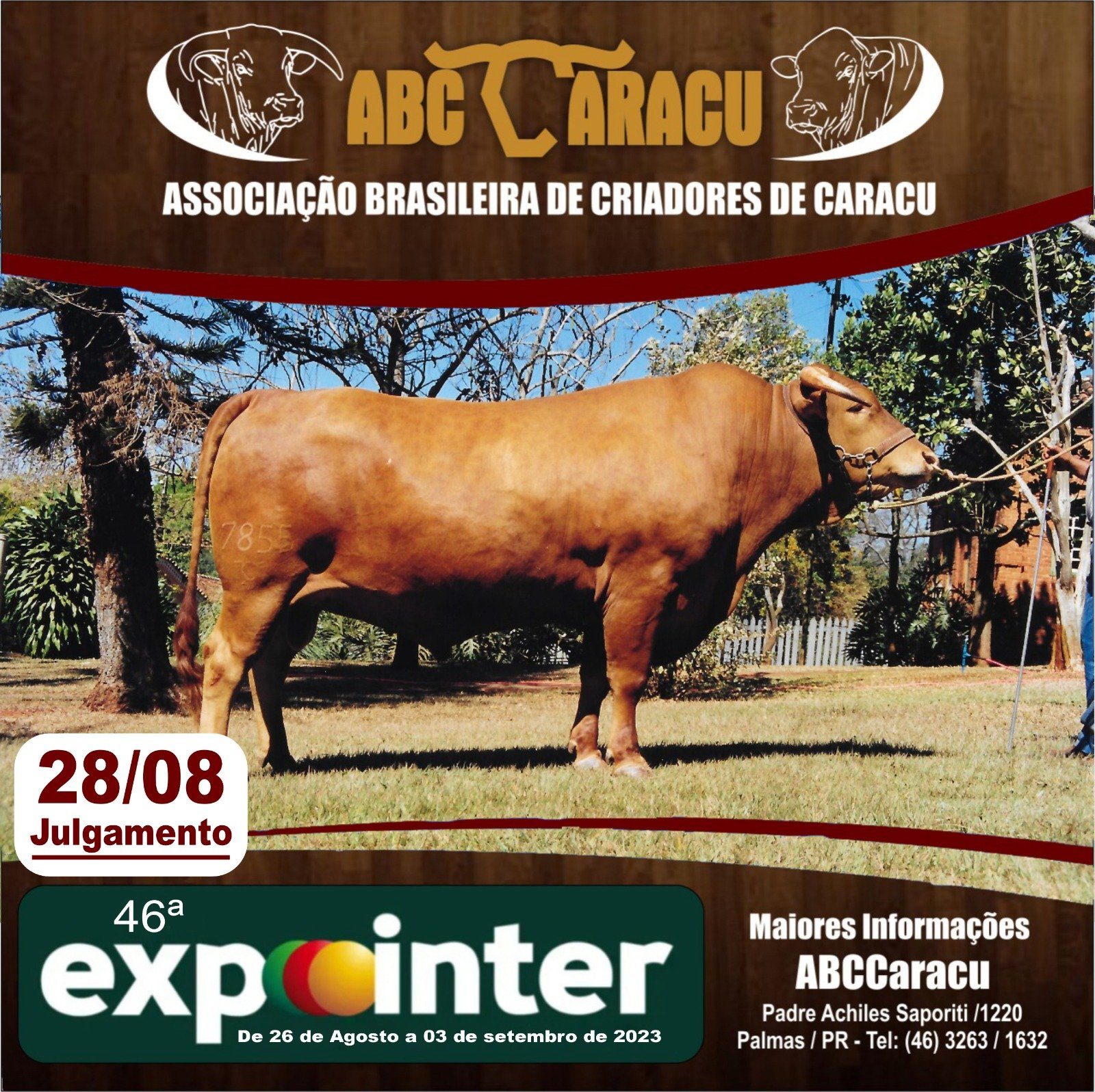 Exposição Nacional e Julgamento da Raça Caracu