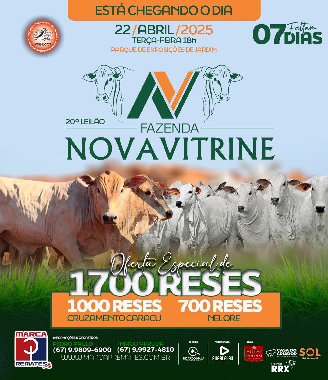 20º Leilão - Fazenda Nova Vitrine