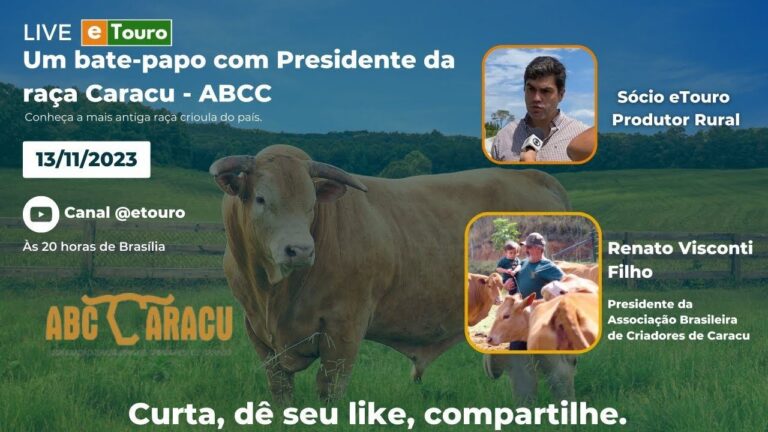 Um bate-papo com Presidente da raça Caracu - ABC