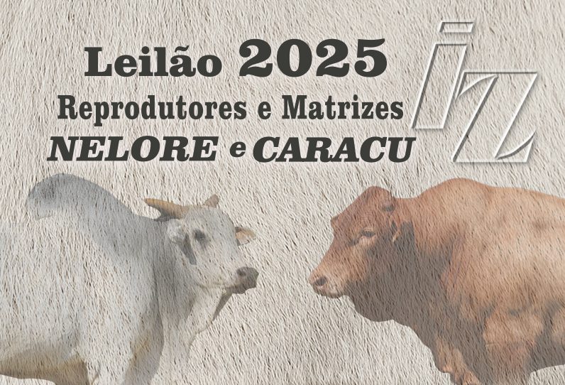 Leilão de Reprodutores IZ, Instituto de Zootecnia de São Paulo