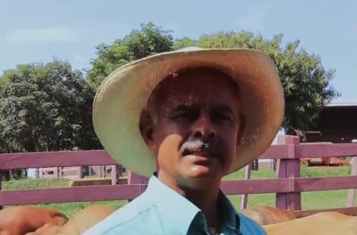 Tradição em projetos para fomentar o cruzamento e aprimoramento da raça Caracu