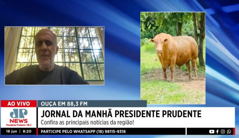 Caracu na FEICORTE 2026: carne premium e lucro no cruzamento Caracu na FEICORTE 2026: carne premium e lucro no cruzamento