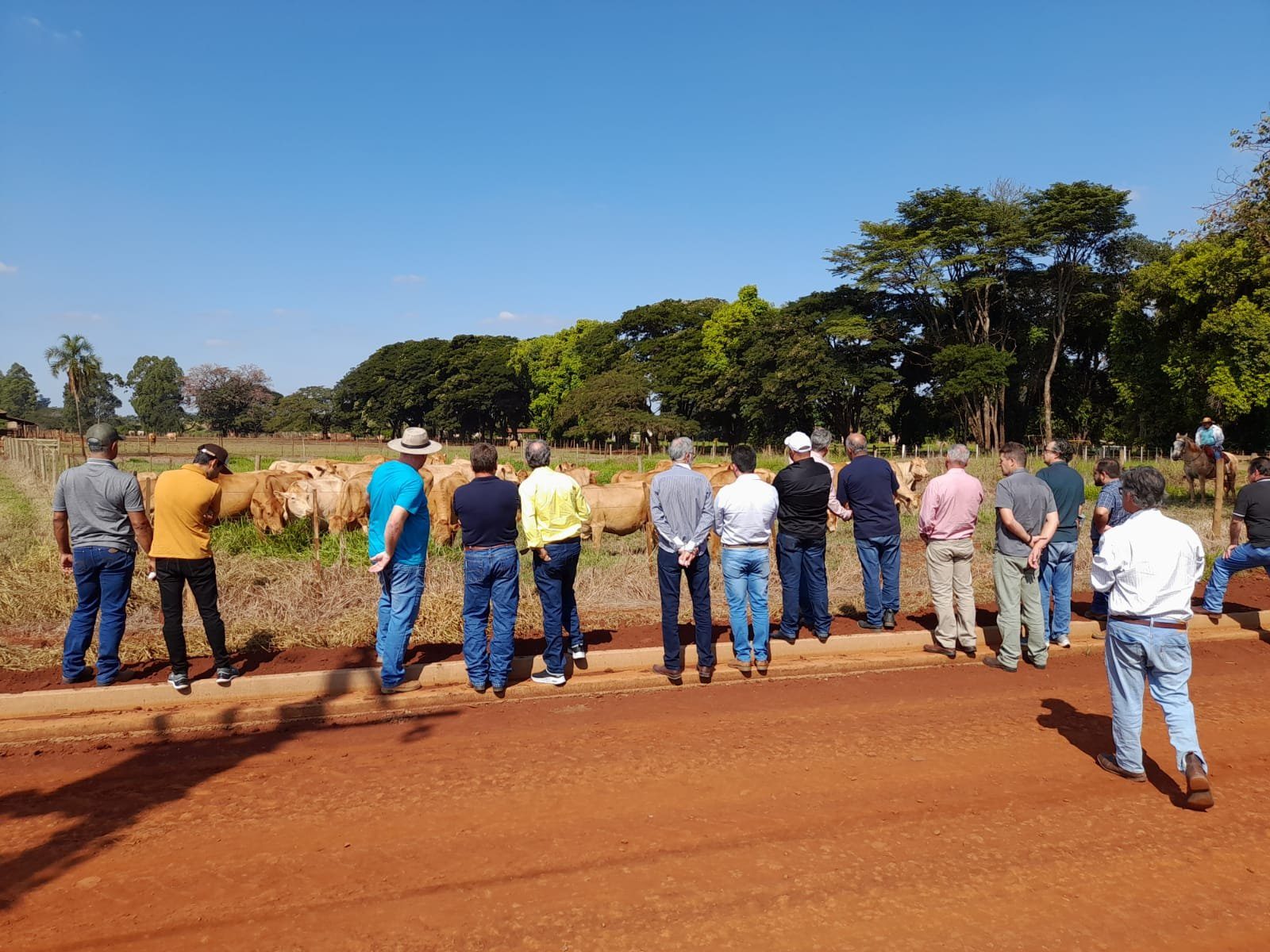 Encontro entre criadores associados